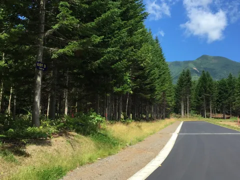 Annupuri Residences Lot #3