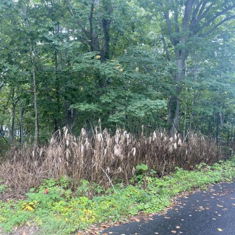 458084033_532605112502526_4984736758724444748_n