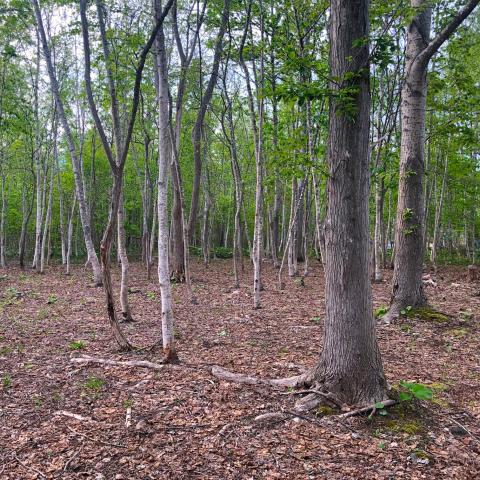 8aaf7354-6abf-4ae6-9bd8-58d485713a16